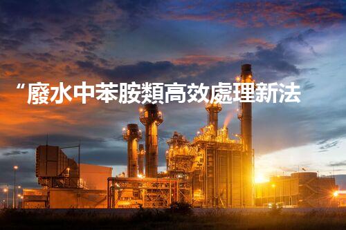 “廢水中苯胺類高效處理新法，環(huán)保先鋒引領(lǐng)綠色以后”